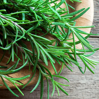 Fresh rosemary on a wooden surface